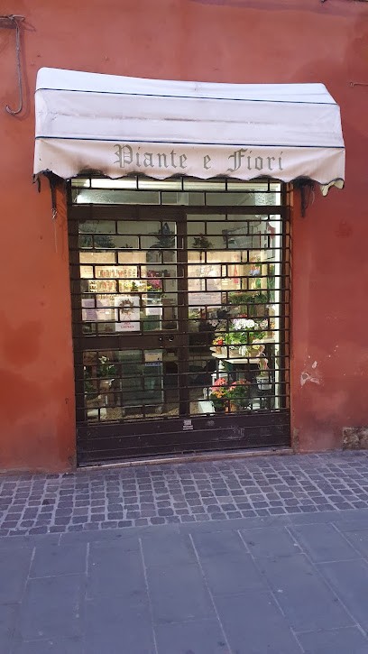 FIORERIA ISABELLA, Fiorista a Ferrara