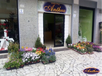 Anthea Fiori...piante E Fiori...articoli Da Regalo, Fiorista a Massafra