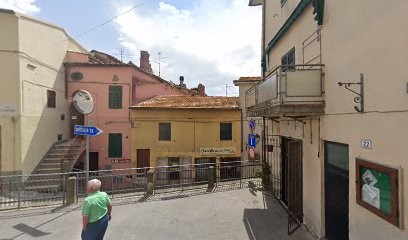 Fiori E Piante La Primavera Di Monellini Oriana, Fiorista a Scansano