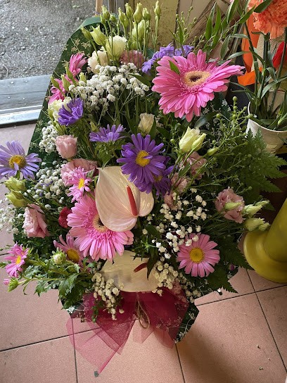 Menin Marta, Fiorista a Verona