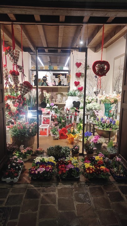 Fioreria Avona Cristina, Fiorista a Goito