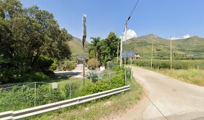 Azienda Agricola Del Bove Mara, Fiorista a Fondi