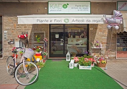 KADO 'THE Florist SCANDICCI, Fiorista a Scandicci
