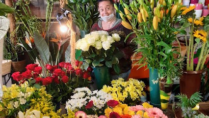 La Mimosa Di Bagnara Antonietta, Fiorista a Faenza