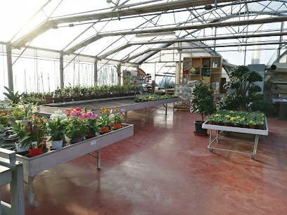 Isola Serena Floricoltura, Fiorista a Ponti sul Mincio