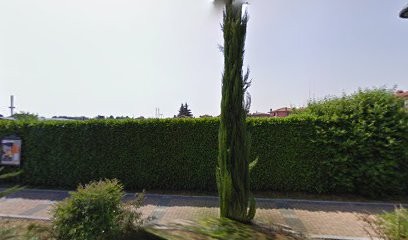 Floricoltura Rigamonti Lorella Piante E Fiori, Fiorista a Brembate