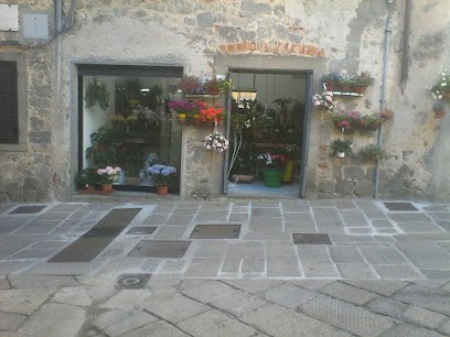 IL FIORE. Di Milvia Dondolini, Fiorista a Santa Fiora