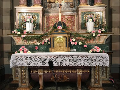 La Ginestra Di Francy, Fiorista a Pollenza