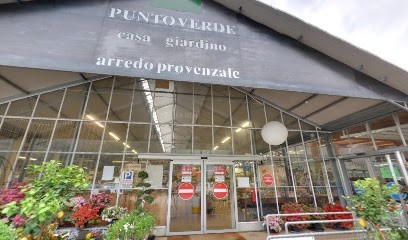 Punto Verde, Fiorista a Prata Camportaccio