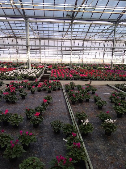 Floricoltura Bonetti, Fiorista a Poncarale