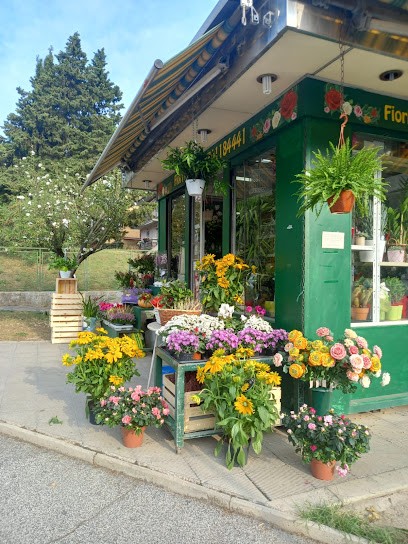 Ditelo Con I Fiori Di Monterotondo, Fiorista a Monterotondo
