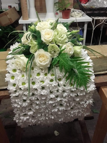 clorofilla fiori & piante, Fiorista a Sassoferrato