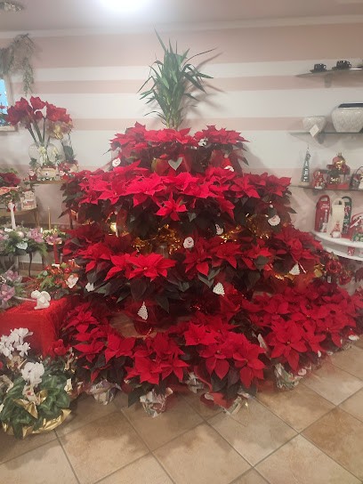 Fiorista Mio Giardino, Fiorista a Carcare