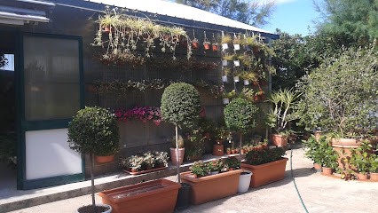 Green Dei F.Lli De Gioia S.N.C., Fiorista a Giovinazzo