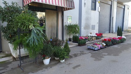 Nardi Flor, Fiorista a Rutigliano