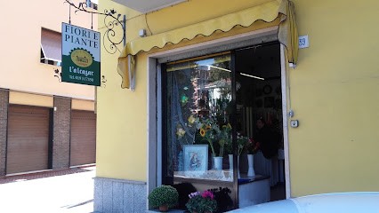L'Alcazar - Fiori E Piante, Fiorista a Carcare