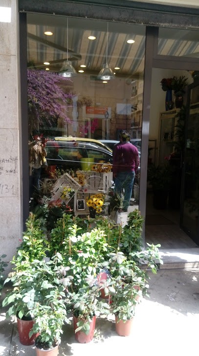Lo Verso Girolamo Di Lo Verso Sergio, Fiorista a Palermo