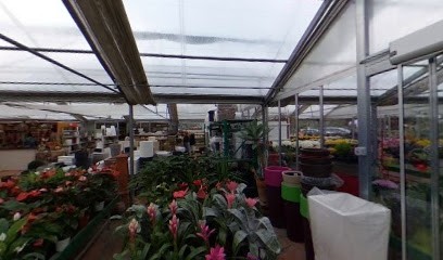 Centro Giardino Battiston Sas, Fiorista a Fossalta di Portogruaro