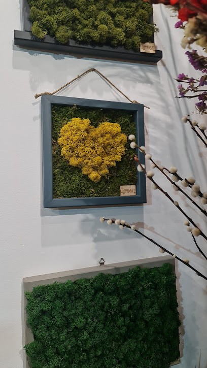 Green, Fiorista a Messina