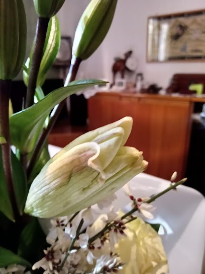 Gualdi Pia Maria, Fiorista a Carpi