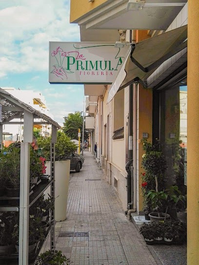 La Primula Fioreria, Fiorista a Grottaglie