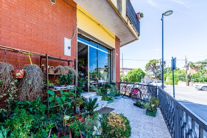 Fioreria Dei Due Laghi, Fiorista a Orroli