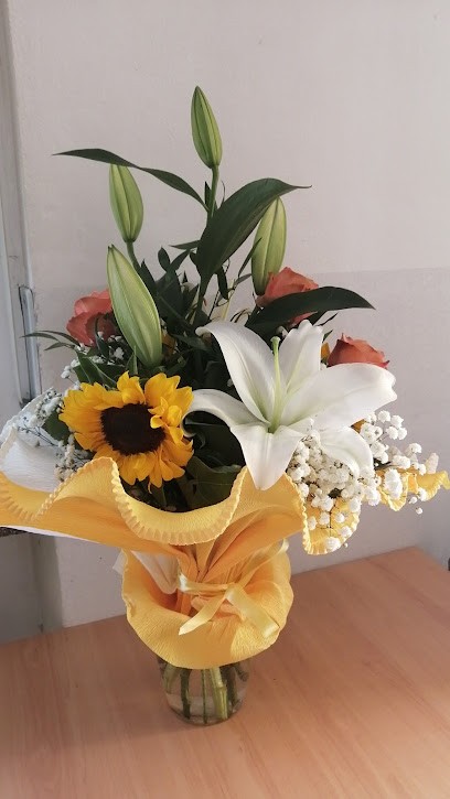 Gambero Fiori, Fiorista a Gravellona Toce