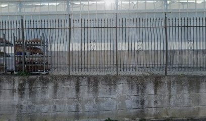 Merloflor, Fiorista a Albenga