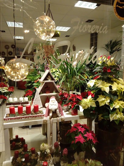 Fioreria La Fontana, Fiorista a Rovereto