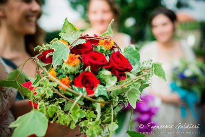 Il Bouquet Alle Rughe / De Luca Fiori, Fiorista a Formello