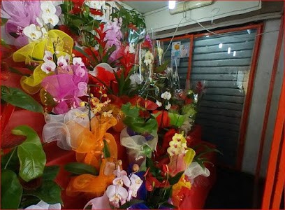 Fioraio Ardigò, Fiorista a Roma