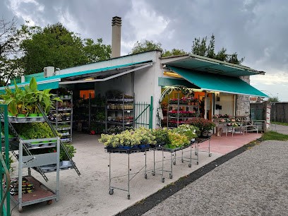 Karma Fiori Di Carmine Esposito, Fiorista a Monfalcone