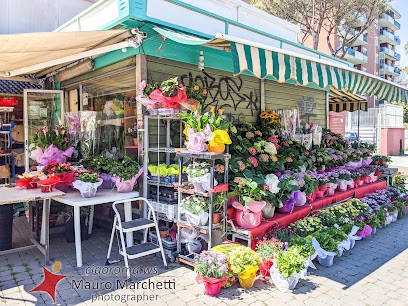 Re Di Fiori, Fiorista a Roma