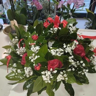 La Dea Dei Fiori Di Donatella Carta, Fiorista a Ozieri