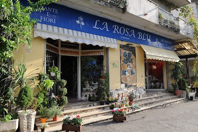 La Rosa Blu, Fiorista a Melicucco