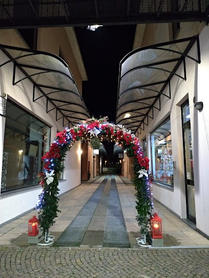 Fior Di Loto Di Gianfreda Marisa, Fiorista a San Donato Milanese