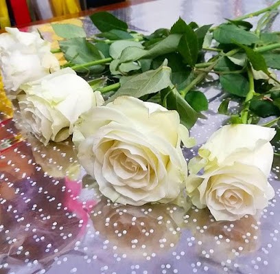 Fioreria Petite Fleur S.n.c. di Montini E. e C., Fiorista a Lumezzane