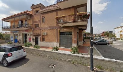 Piante E Fiori, Fiorista a Roma