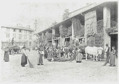 I Fiori Della Corte, Fiorista a Carimate