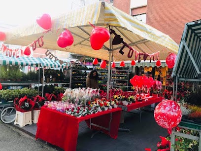 Fiorilandia Di Varlese Mirella, Fiorista a Reggio nell'Emilia