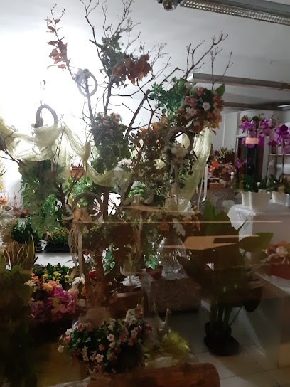 La Gardenia Di Torri Paola E Frignani Nilo (S.N.C.), Fiorista a Castelnovo ne' Monti