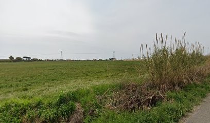 Eurorose 2000, Fiorista a Aprilia