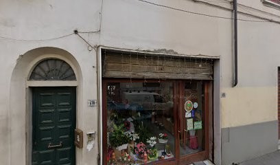 Regini Walter, Fiorista a San Miniato