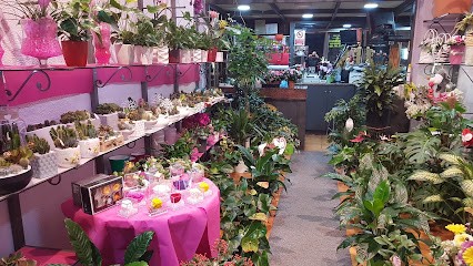 Senese-Fiori Napoli,Vomero,Arenella,Napoli Centro,Chiaia,Posillipo,Miano,Piscinola,Chiaiano,Fuorigrotta,Soccavo,Pianura, Fiorista a Napoli