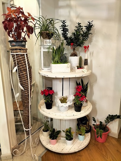 BLOOM, Fiorista a Corato