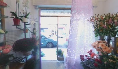 Fiorista Verde Idea, Fiorista a Savona