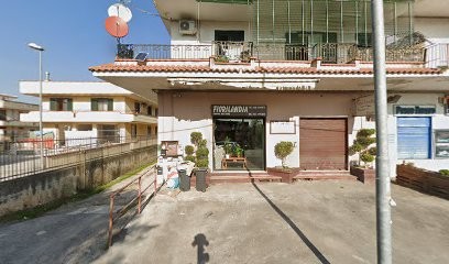 Piante E Fiori, Fiorista a San Paolo Bel Sito