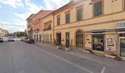 Fiori E Piante Clorofilla Di Antonozzi Nicoletta, Fiorista a Castelraimondo