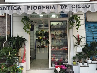 Antica Fioreria De Cicco, Fiorista a Napoli