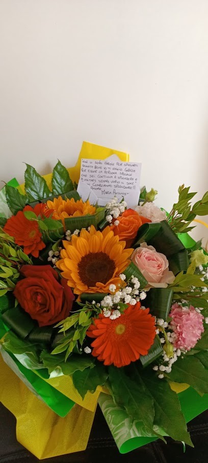 CaiFlor Il Chiosco Sezze, Fiorista a Sezze